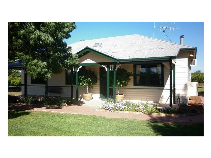 77 Chowilla Street, Renmark SA 5341