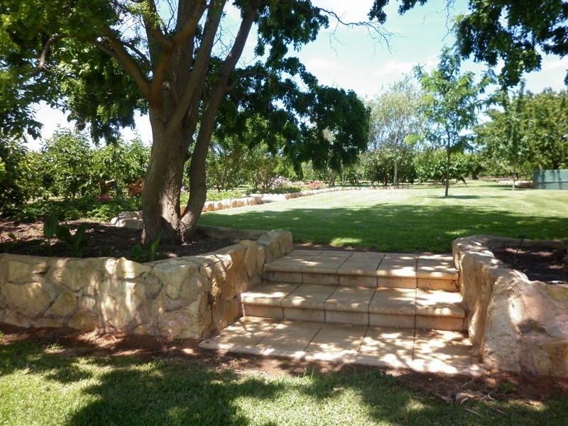 77 Chowilla Street, Renmark SA 5341