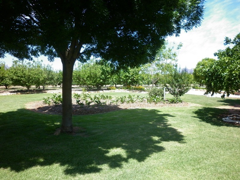 77 Chowilla Street, Renmark SA 5341