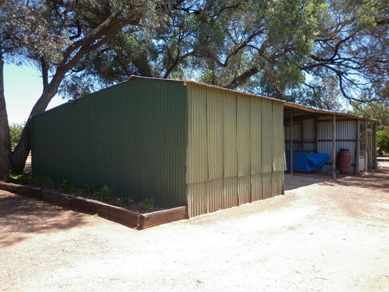 77 Chowilla Street, Renmark SA 5341