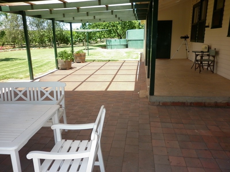 77 Chowilla Street, Renmark SA 5341