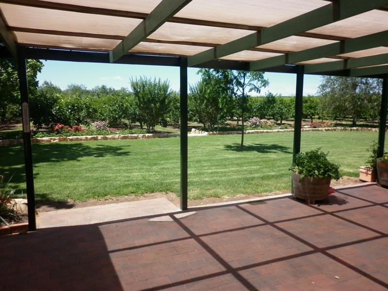 77 Chowilla Street, Renmark SA 5341