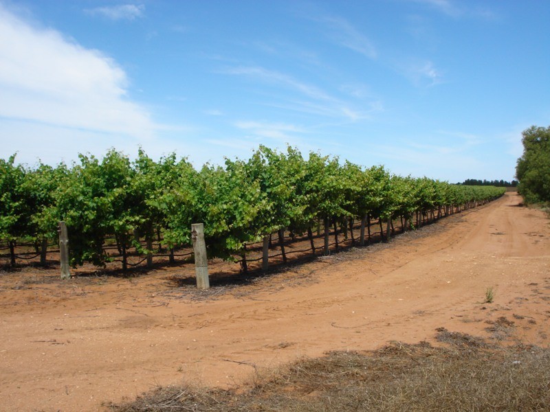 1 Ziegler Road, Ramco SA 5322