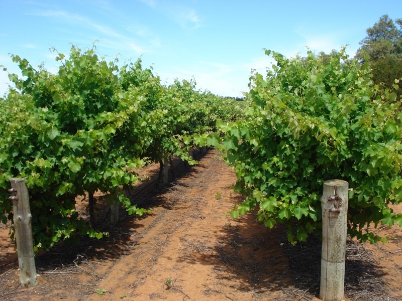 1 Ziegler Road, Ramco SA 5322