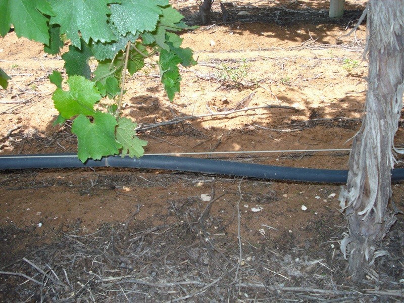 1 Ziegler Road, Ramco SA 5322