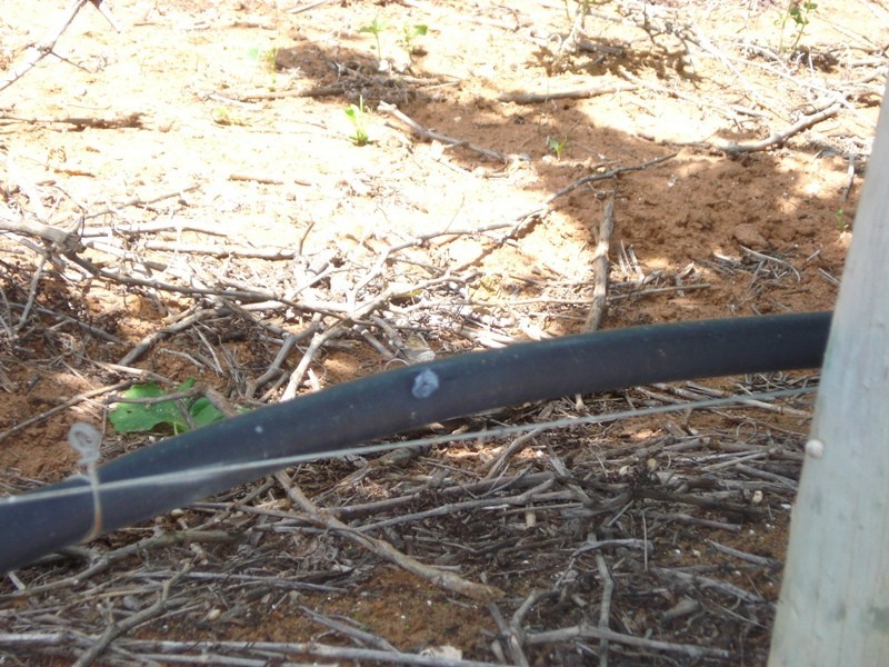 1 Ziegler Road, Ramco SA 5322