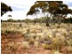 Lot 31 McKay Road, Blanchetown SA 5357