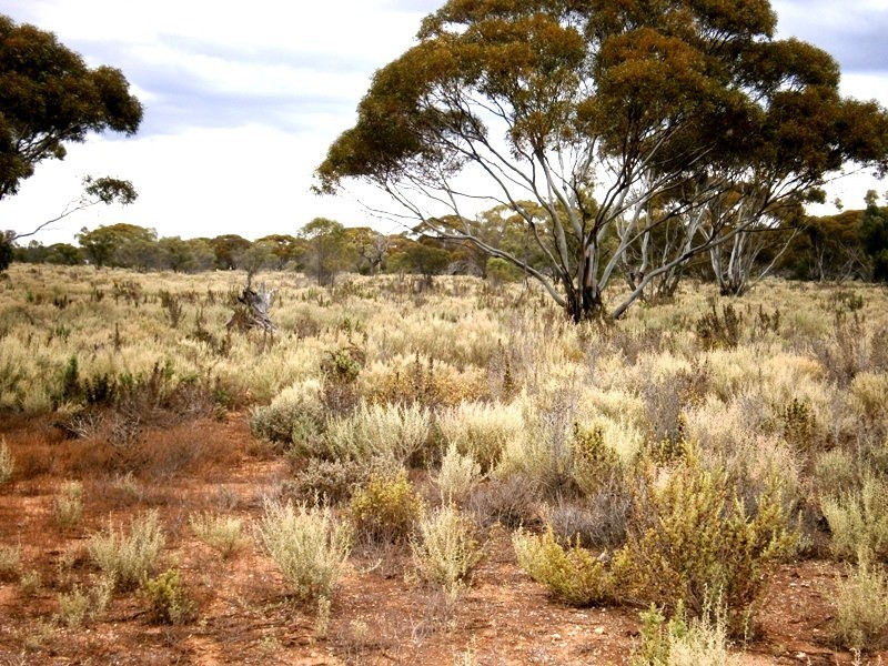 Lot 31 McKay Road, Blanchetown SA 5357