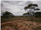 Lot 31 McKay Road, Blanchetown SA 5357