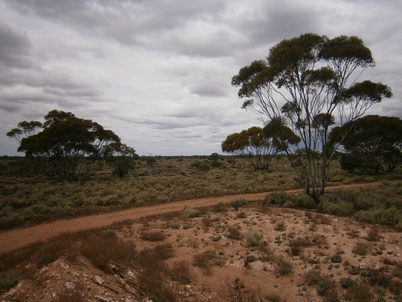 Lot 31 McKay Road, Blanchetown SA 5357