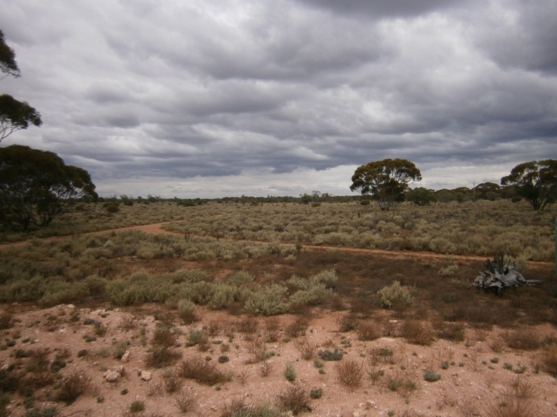 Lot 31 McKay Road, Blanchetown SA 5357