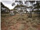 Lot 31 McKay Road, Blanchetown SA 5357
