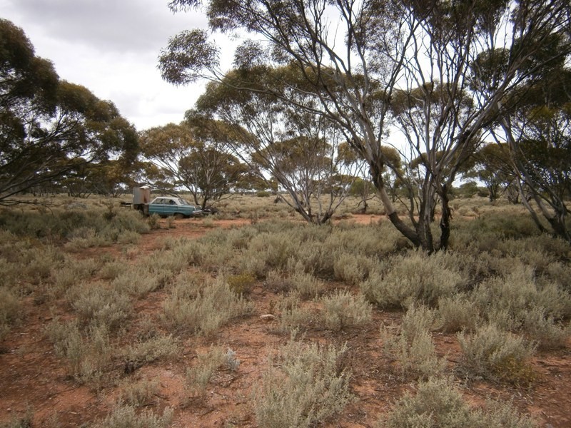 Lot 31 McKay Road, Blanchetown SA 5357