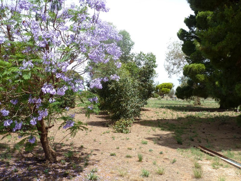 273 Mackey Road, Loxton SA 5333