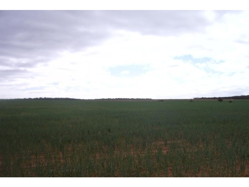 Section 37 Hd of Kingsford, Kringin SA 5304