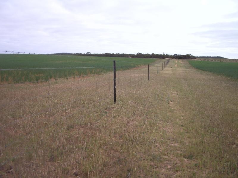 Section 37 Hd of Kingsford, Kringin SA 5304