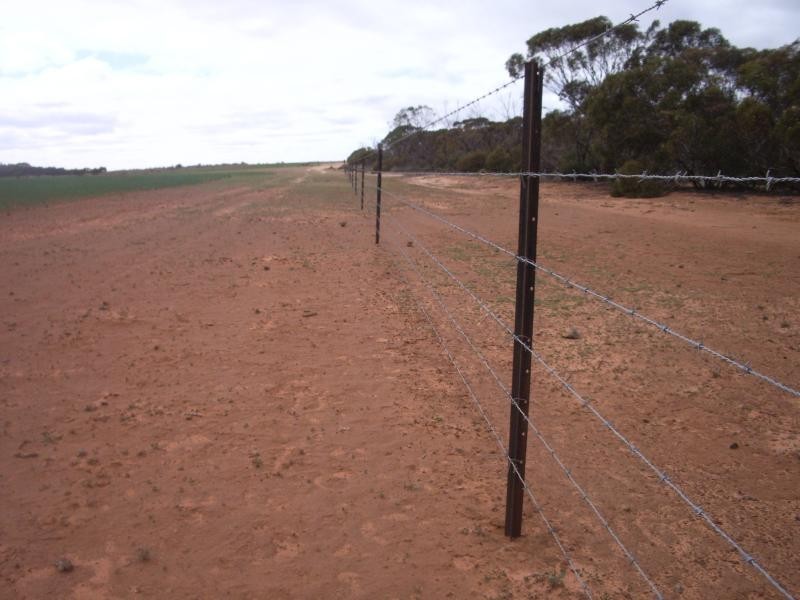 Section 37 Hd of Kingsford, Kringin SA 5304