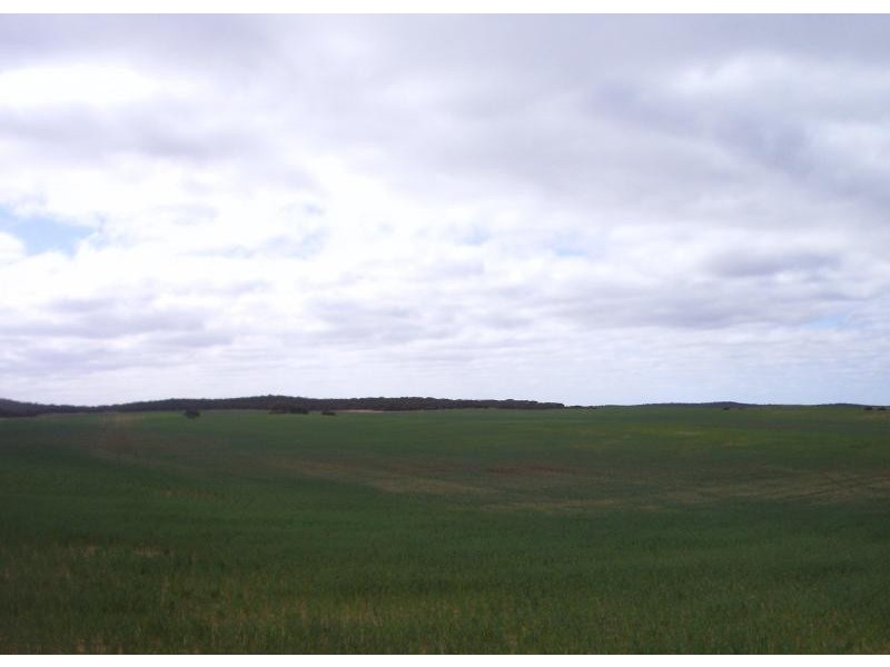 Section 37 Hd of Kingsford, Kringin SA 5304