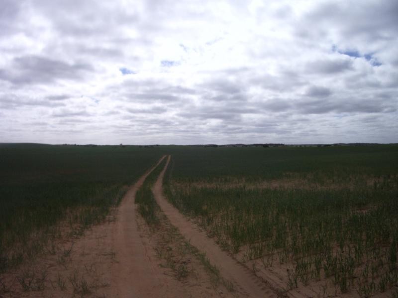 Section 37 Hd of Kingsford, Kringin SA 5304