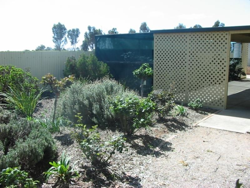 Lot 31 Chino Street, Renmark SA 5341