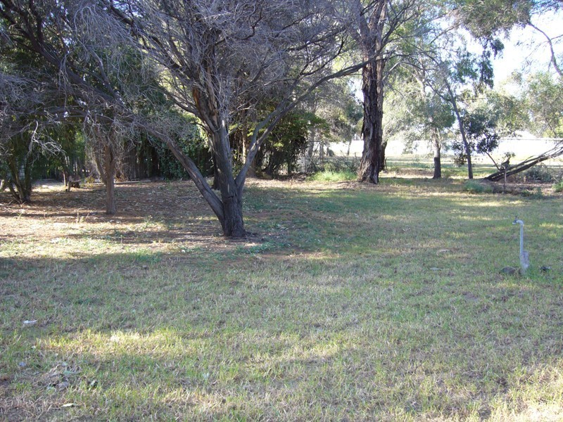17163 Sturt Highway, Barmera SA 5345