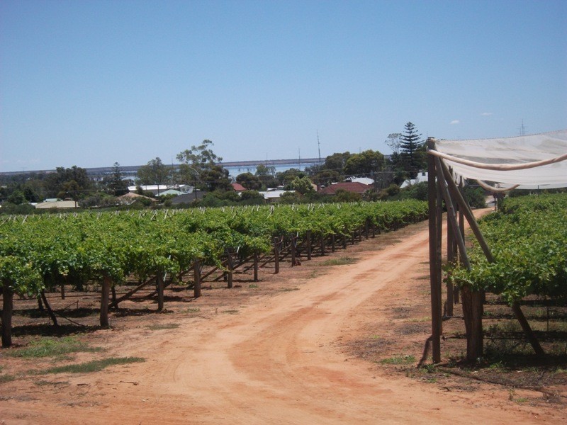 42 Gaskell Road, Barmera SA 5345