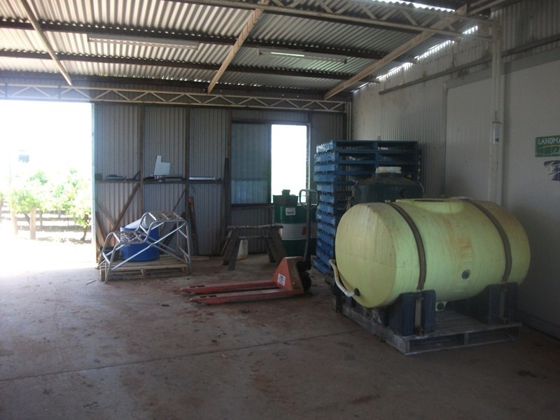 42 Gaskell Road, Barmera SA 5345