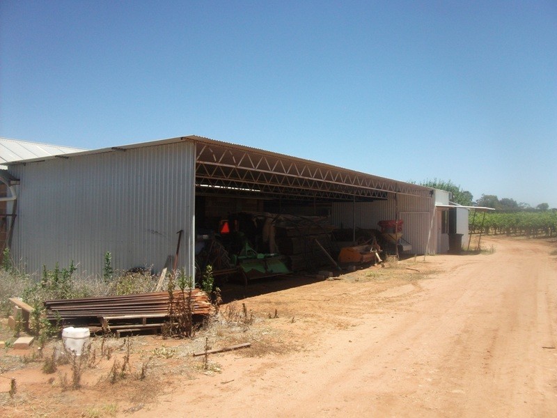 42 Gaskell Road, Barmera SA 5345