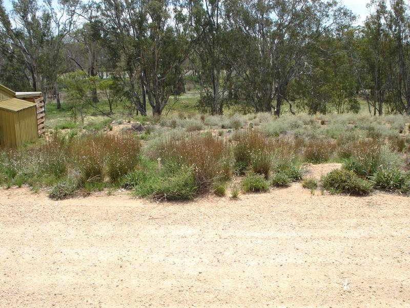 3 Apold Court, Morgan SA 5320