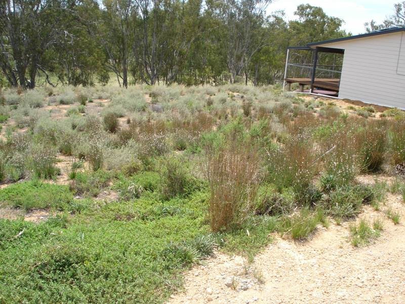 3 Apold Court, Morgan SA 5320