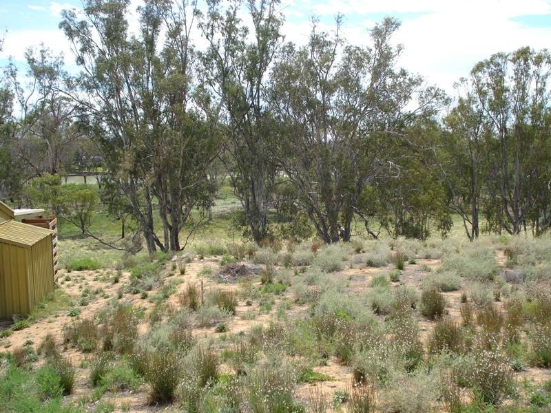 3 Apold Court, Morgan SA 5320