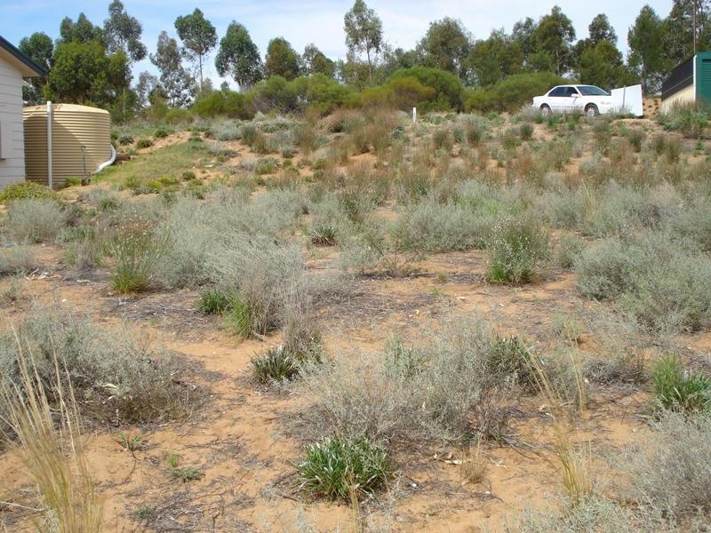 3 Apold Court, Morgan SA 5320