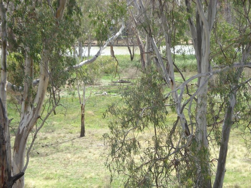 3 Apold Court, Morgan SA 5320