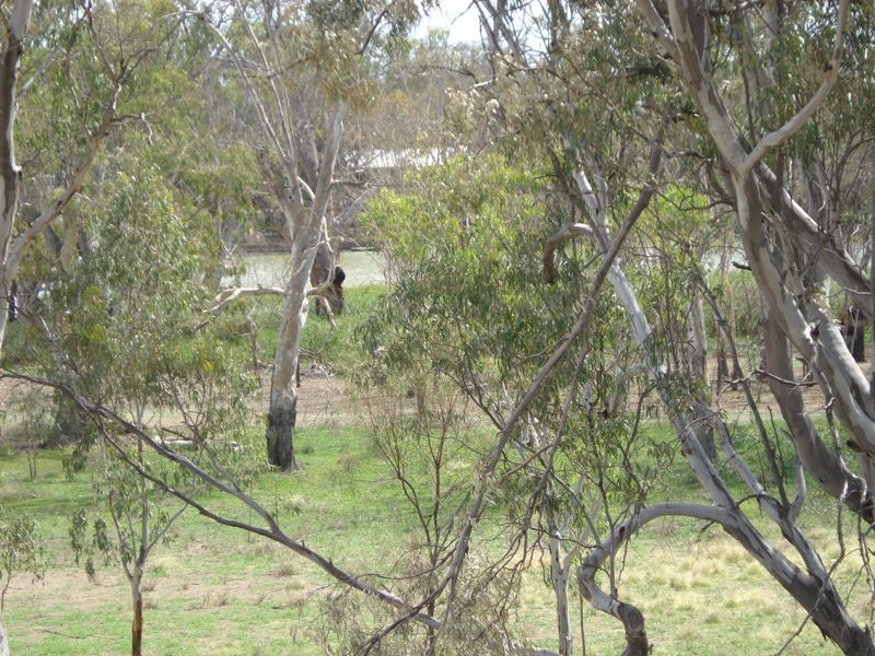 3 Apold Court, Morgan SA 5320