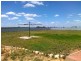 40 Hogg Road, Moorook SA 5332
