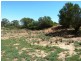 Lot 13 Katarapko Drive, Loxton SA 5333