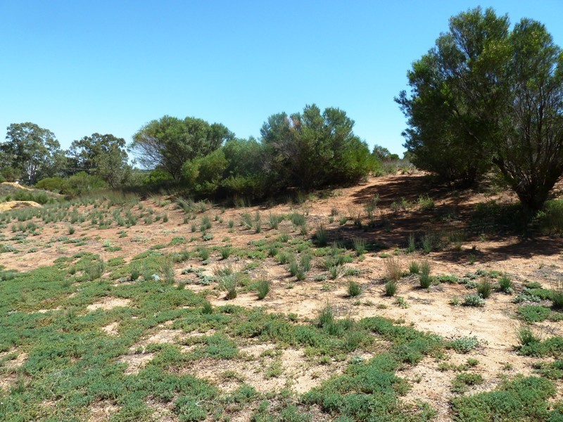 Lot 13 Katarapko Drive, Loxton SA 5333