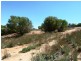 Lot 13 Katarapko Drive, Loxton SA 5333
