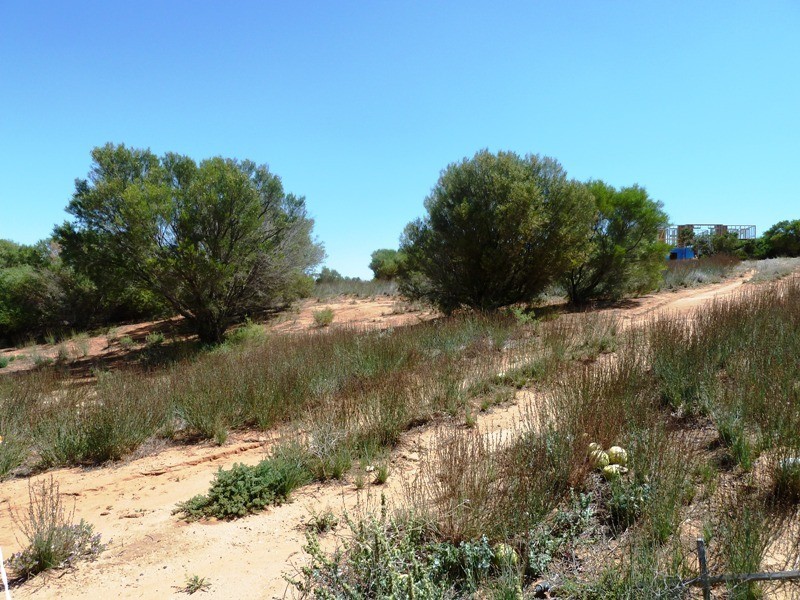 Lot 13 Katarapko Drive, Loxton SA 5333