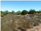 Lot 13 Katarapko Drive, Loxton SA 5333