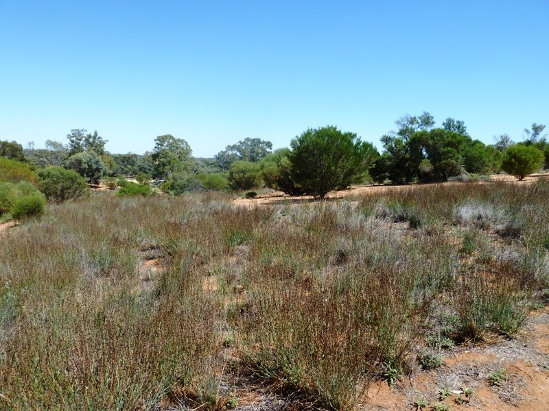 Lot 13 Katarapko Drive, Loxton SA 5333