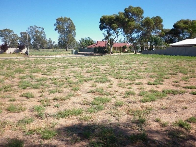 117 Flinders Street, Renmark SA 5341