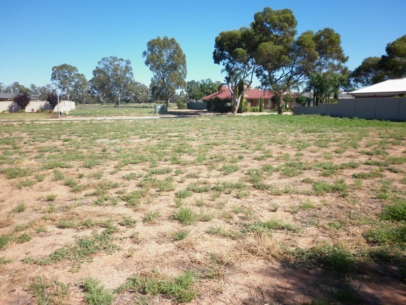 117 Flinders Street, Renmark SA 5341