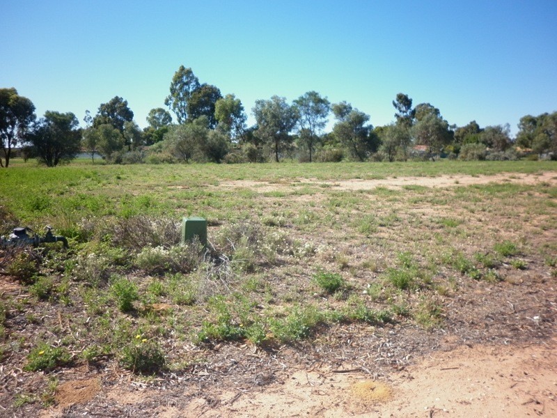 117 Flinders Street, Renmark SA 5341