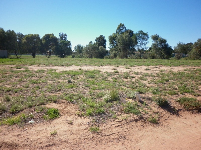 117 Flinders Street, Renmark SA 5341