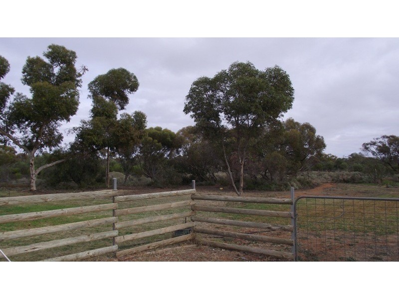 55 Distillery Road, Glossop SA 5344