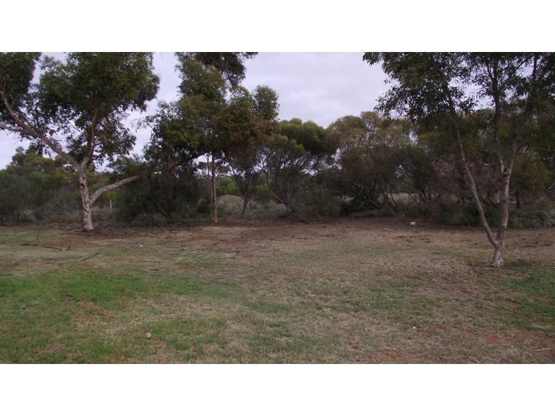 55 Distillery Road, Glossop SA 5344