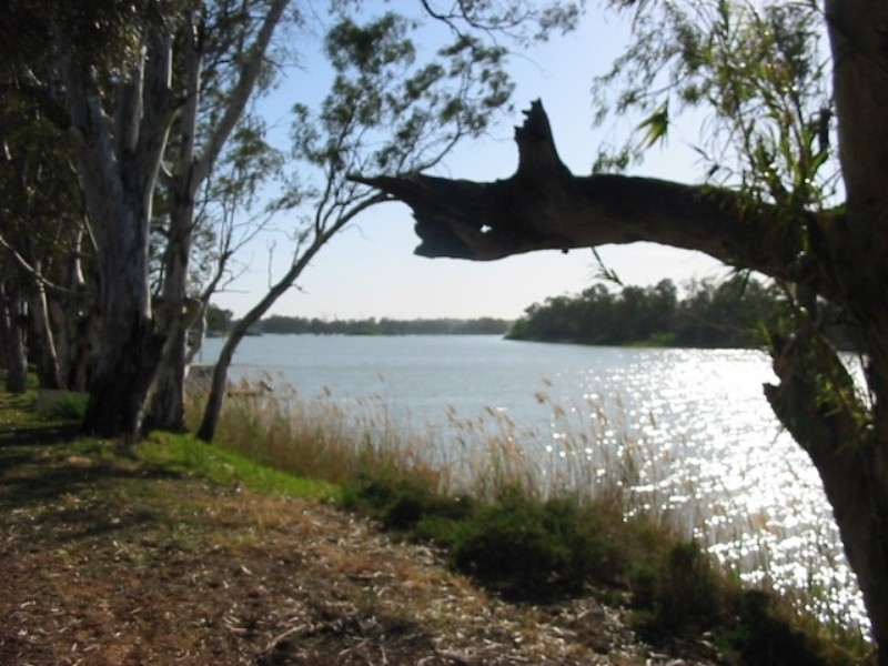 53 James Avenue, Renmark SA 5341