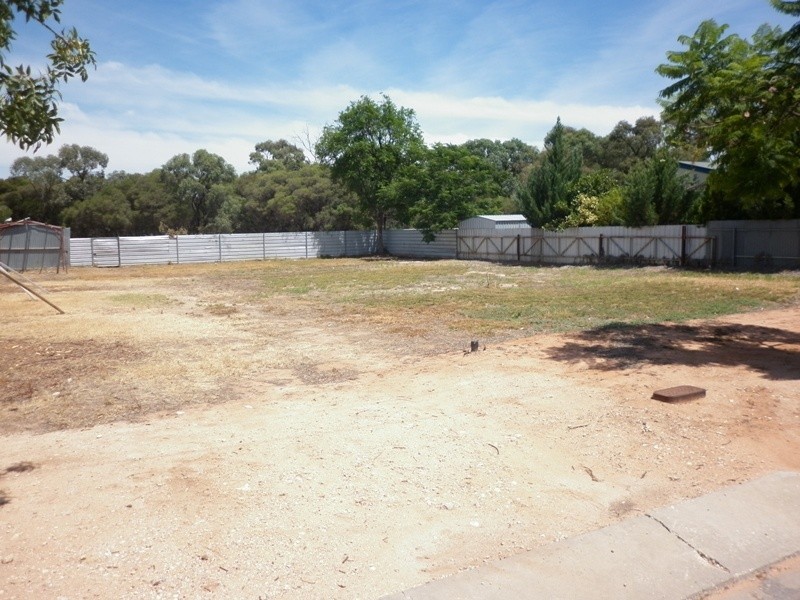 39 Tolarno Street, Renmark SA 5341
