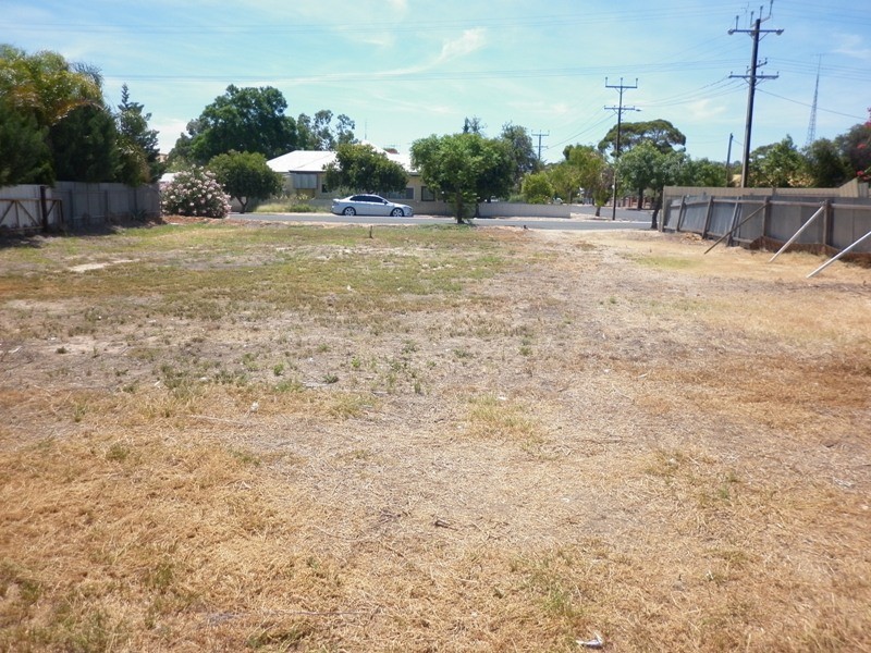 39 Tolarno Street, Renmark SA 5341